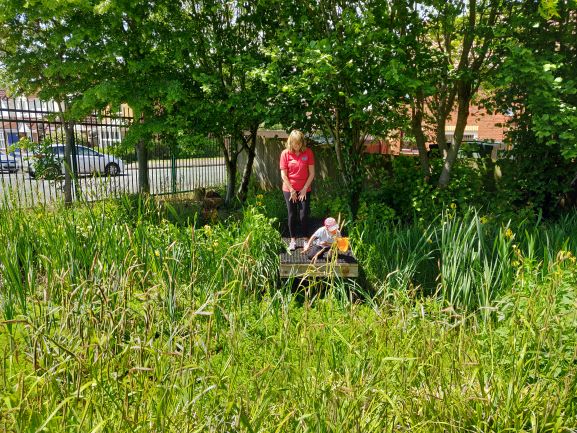 smaller pond
